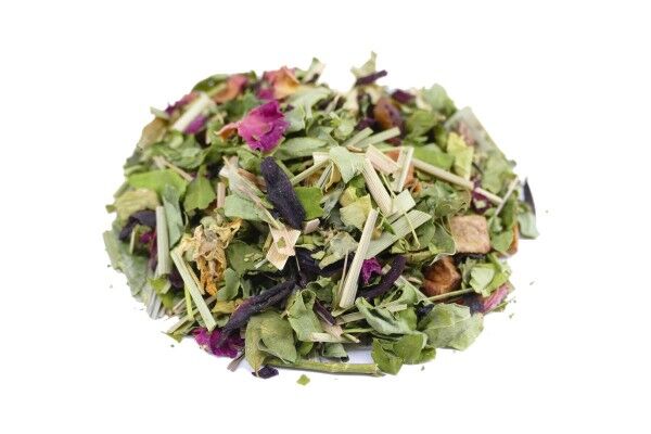 Winterwald mit Moringa
