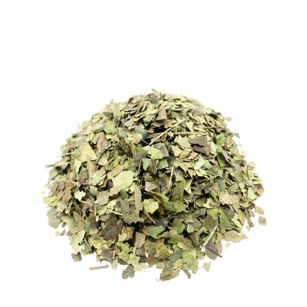 BIO Guayusa Energy Tee