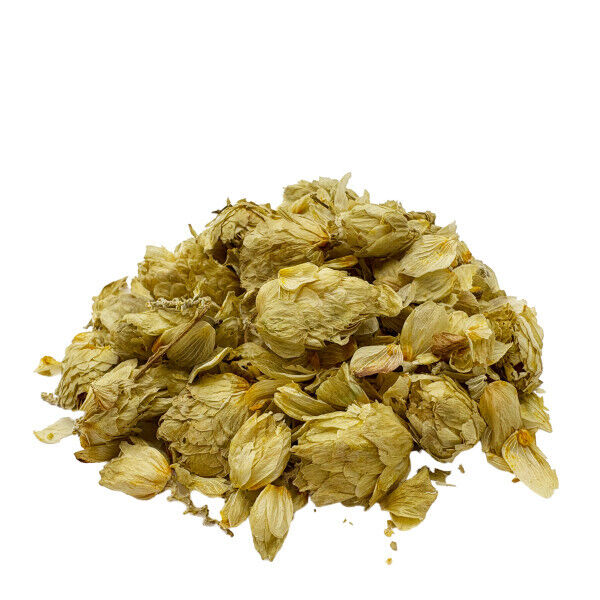 BIO Hopfenblüten (Hopfenzapfen Tee)