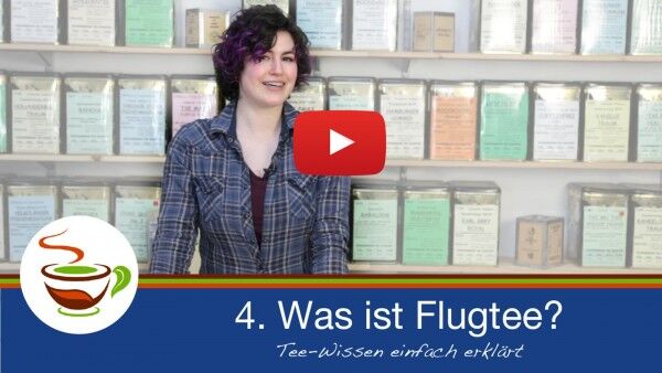 flugteeMmlBWzDSO8sdW