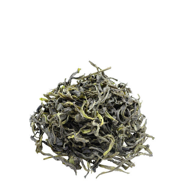 BIO Leafy Green Grüntee aus Kolumbien