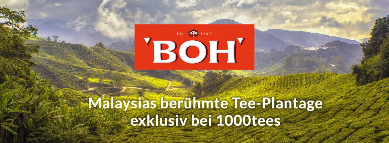 Banner_Landingpage_1900x700Y5NRWVxwJmrIj
